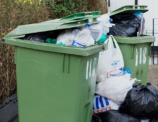 5 Tips To Keep Bugs Away From Your Dustbins