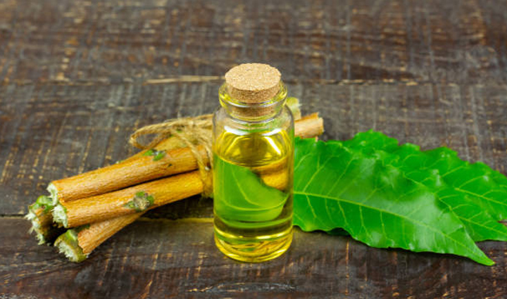 home remedies to help you get rid of stink bugs,Health,healthy living