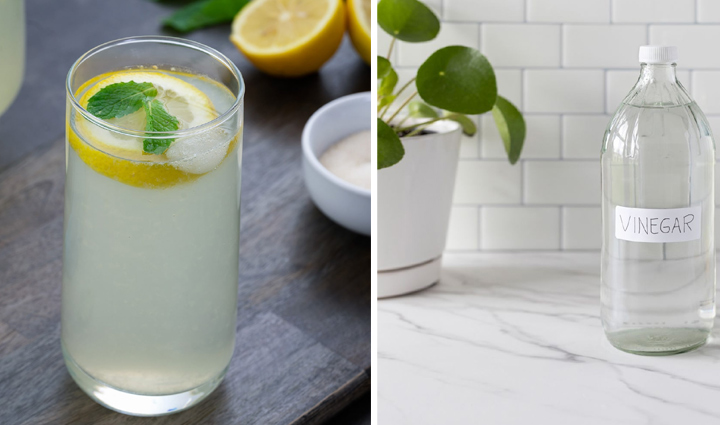 home remedies to help you get rid of stink bugs,Health,healthy living