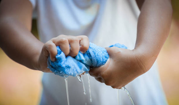 home remedies to help you get rid of stink bugs,Health,healthy living