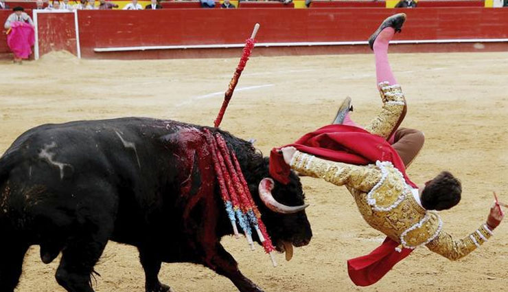 विश्व में प्रसिद्द है ये भयानक खेल most popular dangerous game in world,dangerous games in the world,base jumping games,skydiving game,street liner games,bull fighting game,life threatening games in the world,free soloing games,cricking game