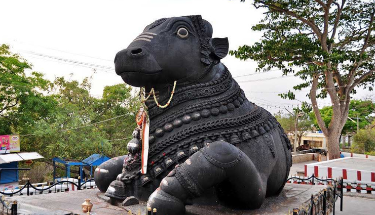 animals are worshiped in these 6 temples of india,holidays,travel,tourism