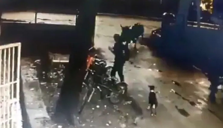 जब 2 सांड लड़ते हुए घुसे IIT बॉम्बे के कैंपस में तो हुआ यह हादसा, वीडियो वायरल
