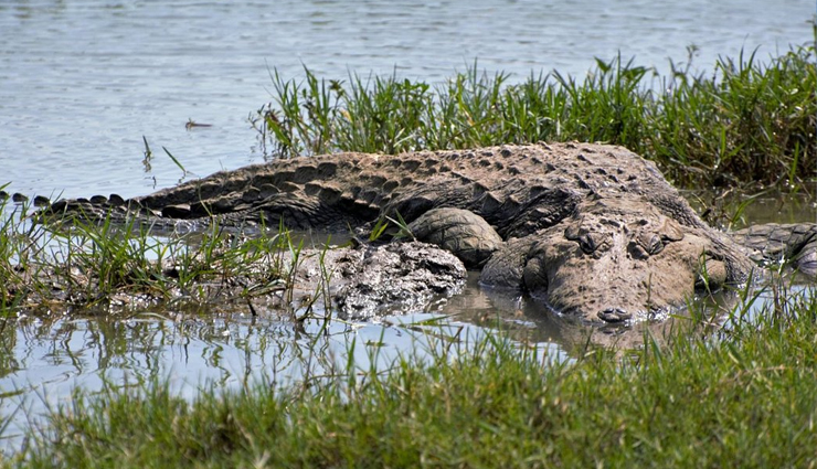 wildlife sanctuaries sri lanka,best wildlife encounters sri lanka,wilderness of wildlife exploration,sri lanka wildlife adventures,sanctuary wildlife experiences,top wildlife spots in sri lanka,encountering wilderness in sri lanka,explore sri lanka wildlife sanctuaries,sri lanka diverse wildlife encounters,wildlife conservation in sri lanka