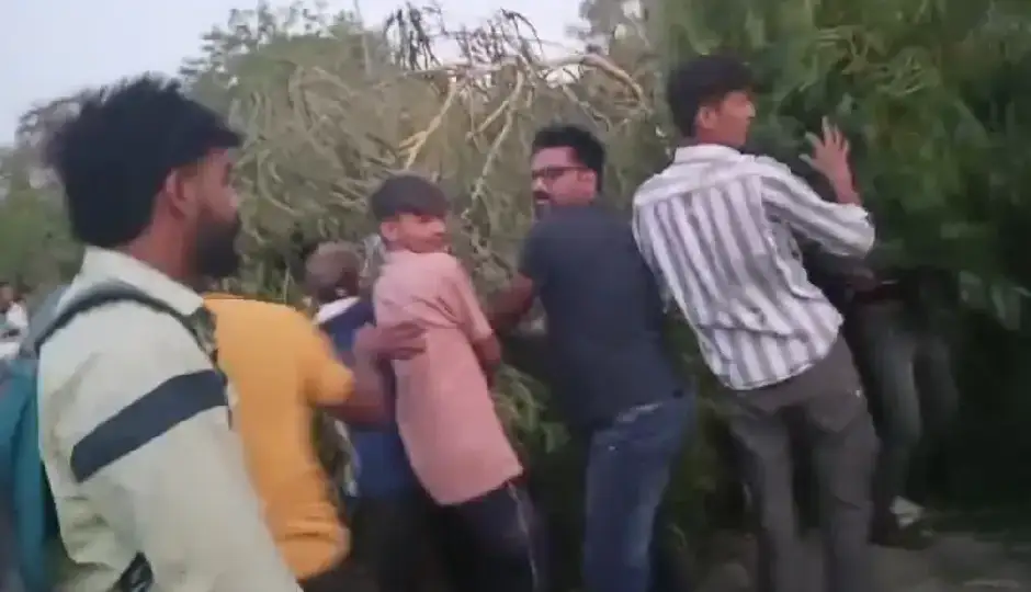 राजस्थान के बूंदी में बड़ा हादसा, ट्रैफिक सिग्नल पर गिरा विशाल सफेदा पेड़, कई लोग दबे, मची अफरा-तफरी