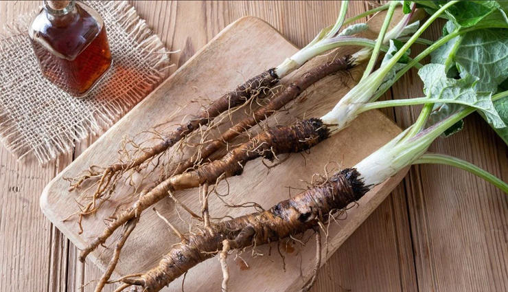 burdock root benefits,burdock root health benefits,burdock root nutritional facts,burdock root side effects,benefits of burdock root for health,nutritional value of burdock root,burdock root advantages,burdock root uses and benefits,burdock root potential health benefits,burdock root dietary information,burdock root side effects and precautions,burdock root for wellness,burdock root natural remedy,is burdock root safe to consume?,burdock root and its nutritional content