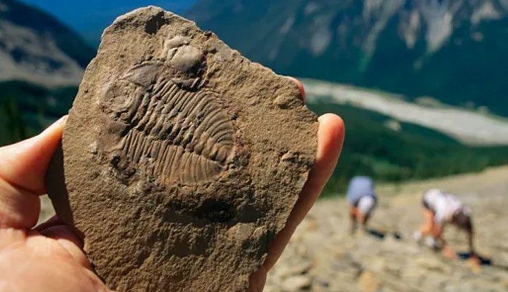 yoho national park,natural wonderland in canada,canadian rockies,majestic mountains,stunning waterfalls,alpine lakes in yoho national park,ancient glaciers of yoho national park,burgess shale fossils,outdoor activities in yoho national park,visitor amenities in yoho national park