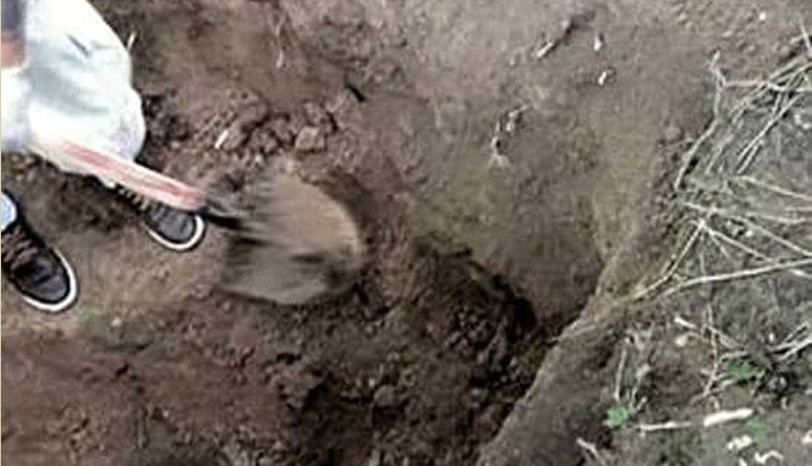 love making,couple,shot,thieves,steal,car,weird news in hindi