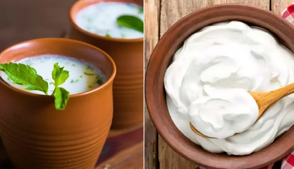 दही या छाछ: पाचन तंत्र के लिए कौन है बेहतर साथी? समझें फर्क और करें सही चुनाव