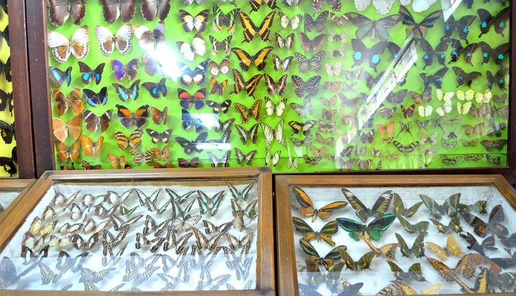 places to visit in shillong,holidays travel,tourism