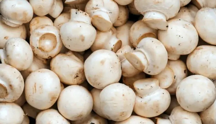 घर पर एक बार जरूर ट्राई करें मशरूम फ्राई, इसके आगे भूल जाएंगे होटल का भी स्वाद #Recipe mushroom fry recipe,homemade mushroom fry,easy mushroom fry,mushroom fry at home,mushroom fry recipe at home,quick mushroom fry,crispy mushroom fry,healthy mushroom fry,simple mushroom fry,delicious mushroom fry