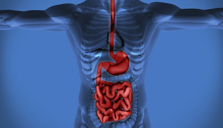 cabbage,health benefits of cabbage health tips,fitness tips