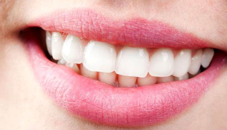 cabbage for promoting digestion,cabbage for reducing inflammation,cabbage for boosting immunity,cabbage for promoting weight loss,cabbage for regulating blood pressure,cabbage for improving brain function,cabbage for improving bone health,cabbage health benefits,cabbage nutrition,cabbage vitamins,cabbage antioxidants,cabbage health properties,cabbage health advantages,cabbage healthy diet