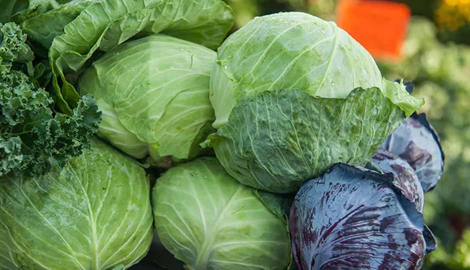11 Least Known Health Benefits of Drinking Cabbage Water