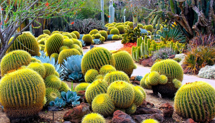 chandigarh,chandigarh tourism place,chandigarh tourism guidelines,chandigarh tourism covid,chandigarh tourism bus,chandigarh city tourism,chandigarh for tourism,chandigarh tourism list,chandigarh tourism packages,chandigarh tourism sports,chandigarh tourism sector,holidays,travel,travel guide