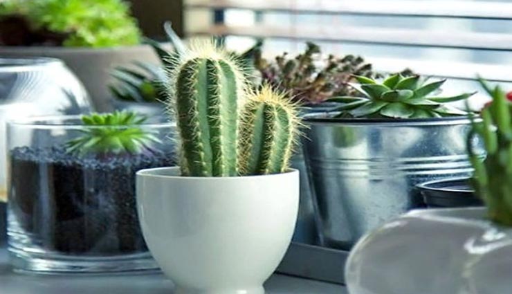 astrology tips,astrology tips in hindi,vastu tips,bad luck in life