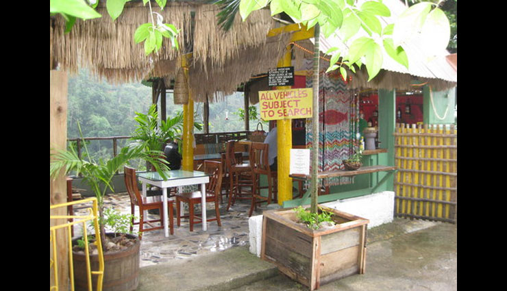 jamaica,best cafe in jamaica,miss ts kitchen,scotchies,toscanini,m-10 bar and grill,eits cafe