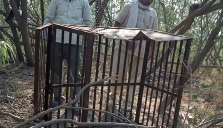 दहशत / ग्रेटर नोएडा में तेंदुए की चहलकदमी, लोगों को सचेत रहने की हिदायत leopard,ntpc plant,greater noida,uttar pradesh,news