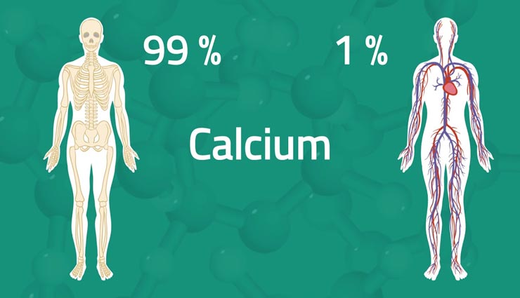 दूध-दही के अलावा ये 5 आहार भी कैल्शियम से भरपूर