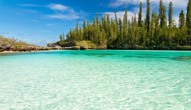 5 Reasons That Will Force You To Visit Caledonia