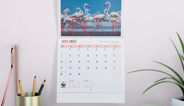 घर में लगे कैलेंडर से भी जुड़ी हैं सुख-समृद्धि, जानें इससे जुड़े वास्तु नियम vastu tips,vastu tips in hindi,calendar and vastu