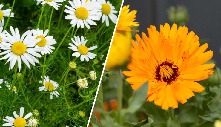 vegan hair dyes,benefits of vegan hair dyes,how to color hair with vegan dyes,natural hair coloring with vegan dyes,cruelty-free hair color options,diy vegan hair dye techniques,plant-based hair coloring,vegan hair dye benefits for hair health,step-by-step guide for using vegan hair dyes,creating vibrant hair colors with vegan dyes