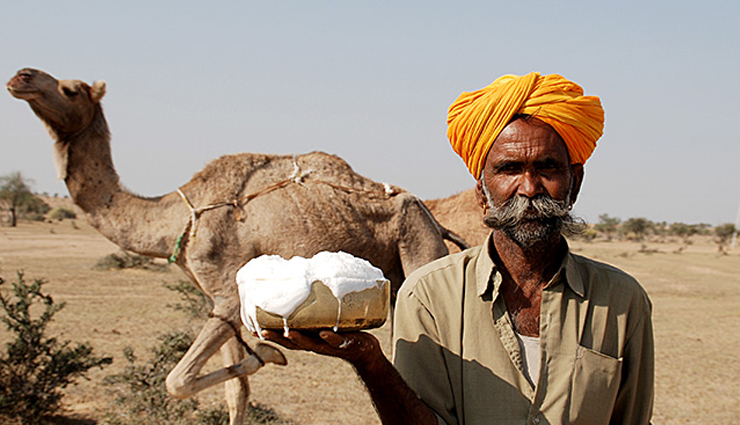 5 Benefits of Camel Milk You Must Know About