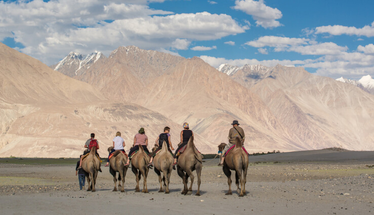 camel safari destinations in india,india,camel safari,bikaner,jaisalmer,mandwana,pushkar,ladakh