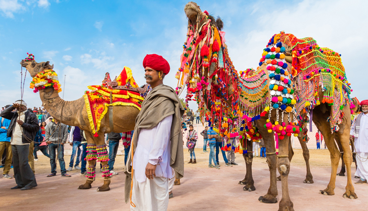 camel safari destinations in india,india,camel safari,bikaner,jaisalmer,mandwana,pushkar,ladakh