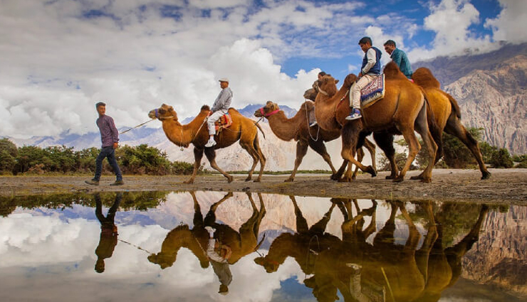 things to do in leh ladakh,best activities in leh ladakh,top experiences in leh ladakh,must-do things in leh ladakh,explore leh ladakh: activities and attractions,adventure and culture in leh ladakh,unmissable experiences in leh ladakh,leh ladakh travel guide: best things to do,discovering leh ladakh: unique experiences,sightseeing and adventure in leh ladakh,leh ladakh bucket list: top activities,immersive travel in leh ladakh: things to explore,cultural and natural wonders in leh ladakh,leh ladakh adventure and sightseeing,making the most of your visit to leh ladakh