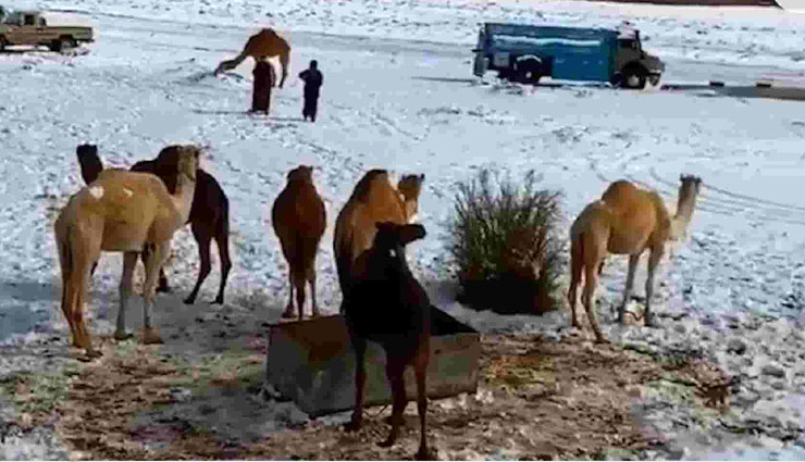 दुनिया के सबसे गर्म  रेगिस्तान में हुई बर्फबारी, हैरान हुए लोग