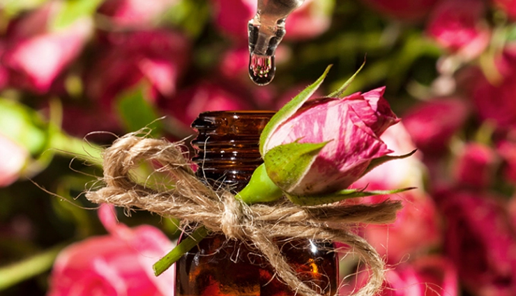 oil for skin,amazing oil for skin,skin care products,skin care product,beauty treatment,beauty care tips,organic camellia oil,uk hemp oil,pumpkin seed oil,wild rosehip seed oil,sea buckthorn oil,organic evening primrose oil,meadowfoam seed oil