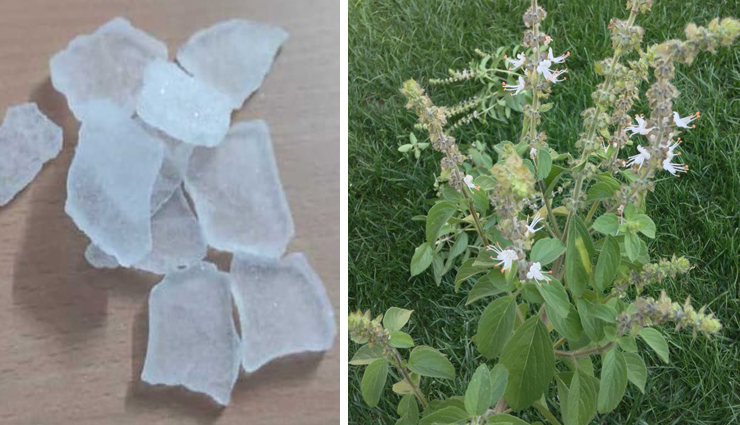 camphor,camphor for acne treatment,acne tips,skin care tips,beauty tips