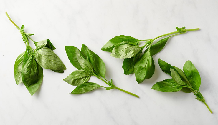 camphor,camphor to treat acne,acne care tips,beauty tips,skin care tips