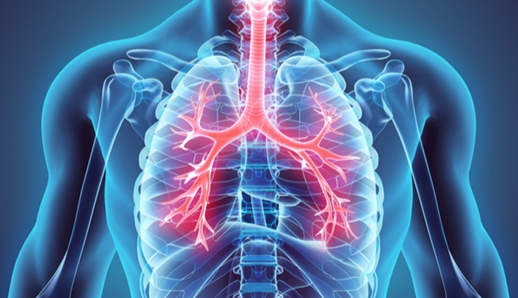 side effects of using camphor,camphor on health,Health tips,fitness tips