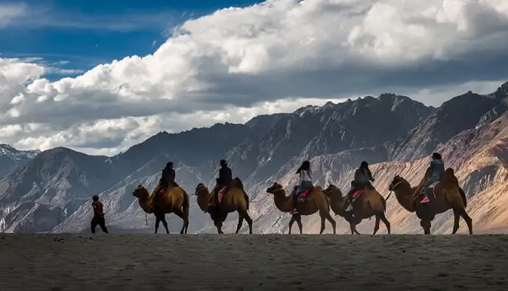 camping vacation destination around the world,sahara desert in morocco,mount cook national park in new zealand,nubra valley ladakh in india,devon in england,yellowstone national park in the usa