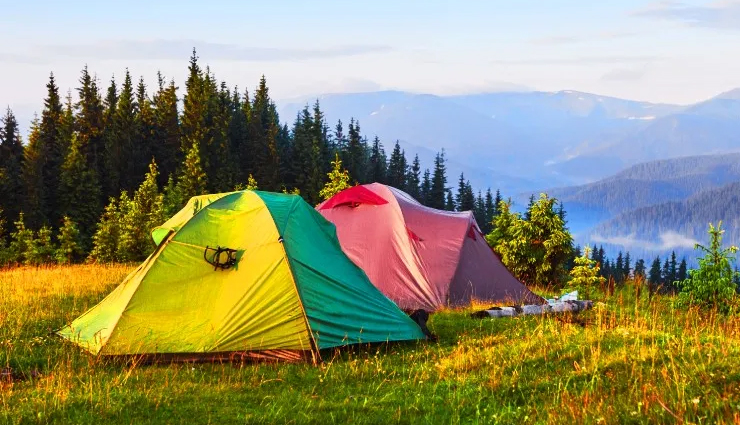 best activities in jim corbett national park,jeep safari permits jim corbett,where to stay in jim corbett,elephant rides in jim corbett national park,rafting on kosi river jim corbett,top bird watching spots jim corbett,river crossing adventure jim corbett,camping experiences near jim corbett,rock climbing adventures jim corbett,trekking routes in jim corbett national park,fishing spots near jim corbett,best time for activities in jim corbett