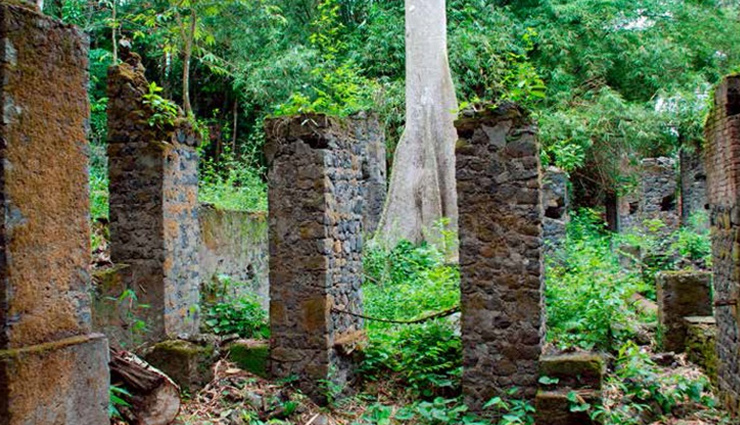 bimbia slave port,ekom-nkam falls,mount fako,waza national park,rom rock,cameroon,places to visit in cameroon,attractions in cameroon