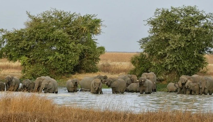 bimbia slave port,ekom-nkam falls,mount fako,waza national park,rom rock,cameroon,places to visit in cameroon,attractions in cameroon