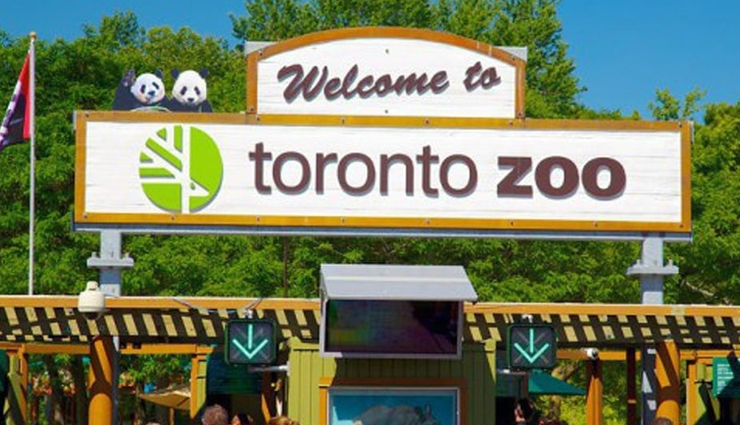 canada,zoo to visit in canada,toronto zoo,calgary zoo,edmonton valley zoo,granby zoo,magnetic hill zoo