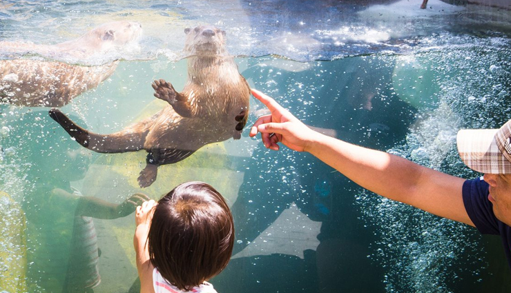 canada,zoo to visit in canada,toronto zoo,calgary zoo,edmonton valley zoo,granby zoo,magnetic hill zoo