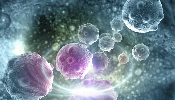 pumpkin health benefits,nutritional benefits of pumpkin,pumpkin health advantages,pumpkin for better health,benefits of eating pumpkin,pumpkin nutritional value,pumpkin impact on health,health perks of pumpkin,pumpkin and wellness,pumpkin positive effects on health