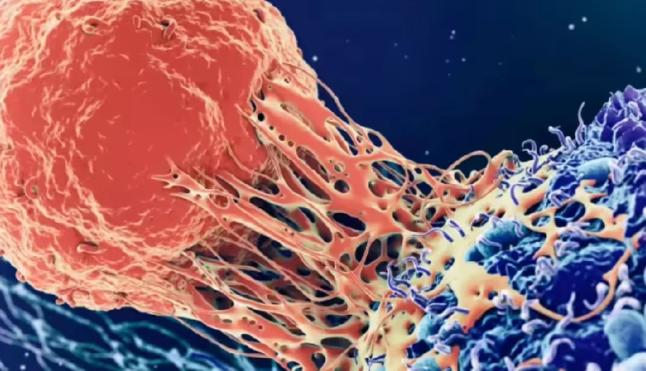 महिलाओं को ज्यादा होता है कैंसर या पुरुषों को? यह स्टडी डराने वाली