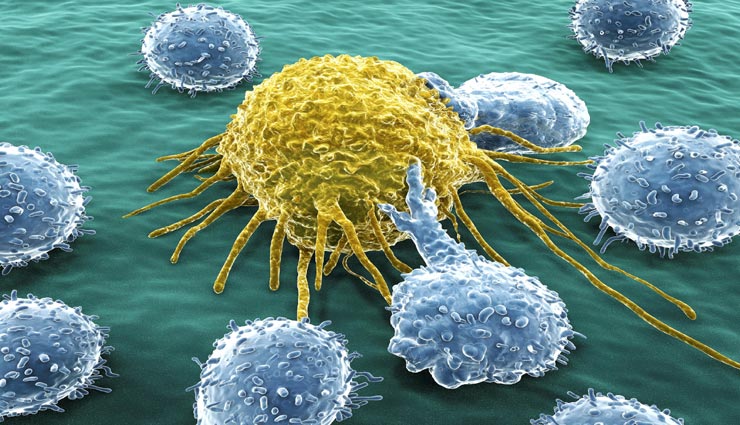 कोसों दूर भागेगा आपसे कैंसर, आज से ही शुरू करें ये 5 आहार