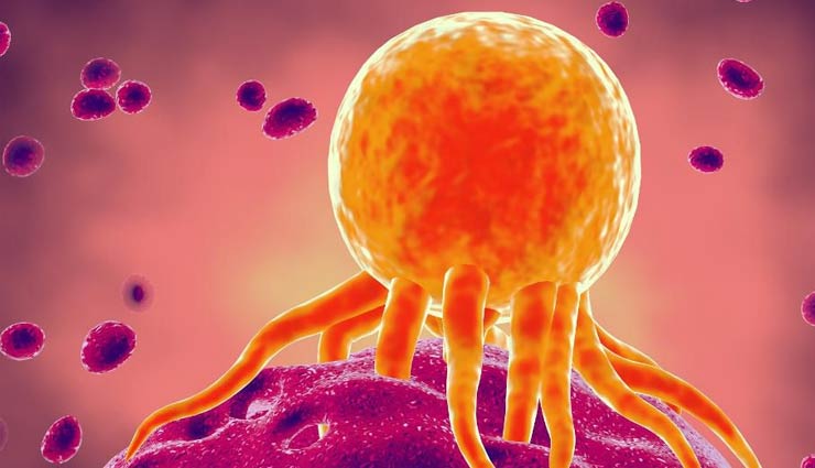 broccoli,broccoli benefits,broccoli health benefits,good health,healthy food,healthy diet,Health,Health tips,fights cancer,controls cholesterol,powerful antioxidant,aids in effective weight-loss,strengthens bones