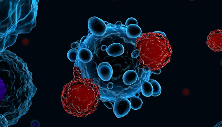 mushrooms,mushrooms health benefits,health benefits,mushroom prevents cancer,mushroom boost immunity,mushroom low cholesterol,mushroom improve bone health,mushroom prevent diabetes,Health,health benefits,Health tips