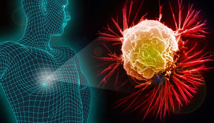 ये 5 आहार करेंगे कैंसर से आपका बचाव, जानें और रहें स्वस्थ