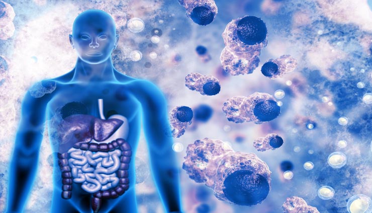 करेला बनता हैं बिमारियों का काल, रोजाना करें सेवन Health tips,health tips in hindi,bitter gourd,healthy life,healthy food