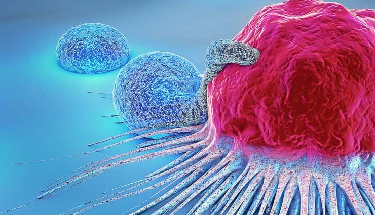 garlic milk,drinking garlic milk,health benefits of drinking garlic milk,garlic healthy food,Health,Health tips,acne,constipation,bloating,cold,flu,natural aphrodisiac,heart,diabetes control,cancer risk