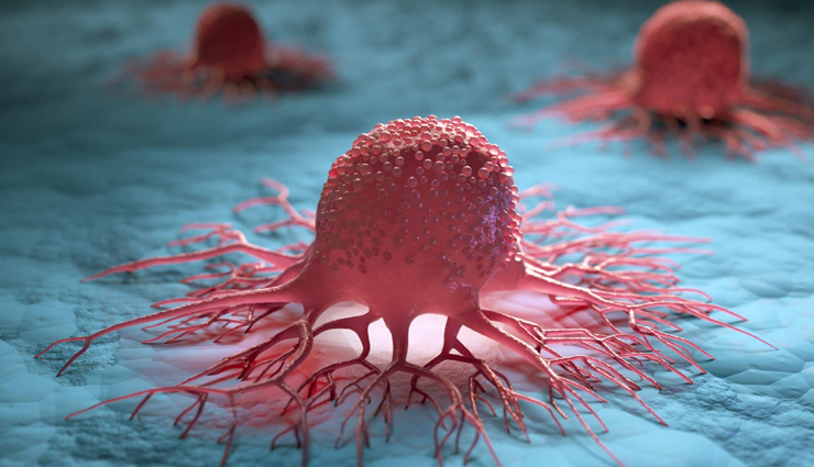 matcha tea,matcha tea benefits,matcha tea health benefits,matcha tea healthy food,healthy food matcha tea,Health,healthy food,Health tips